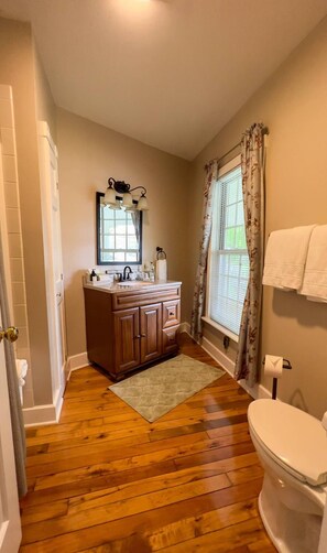 Combined shower/bathtub, hair dryer