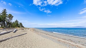 A beach with a clear sky, calm sea, and a few trees.