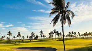 Un campo de golf con cielo despejado, palmeras y un césped bien cuidado.