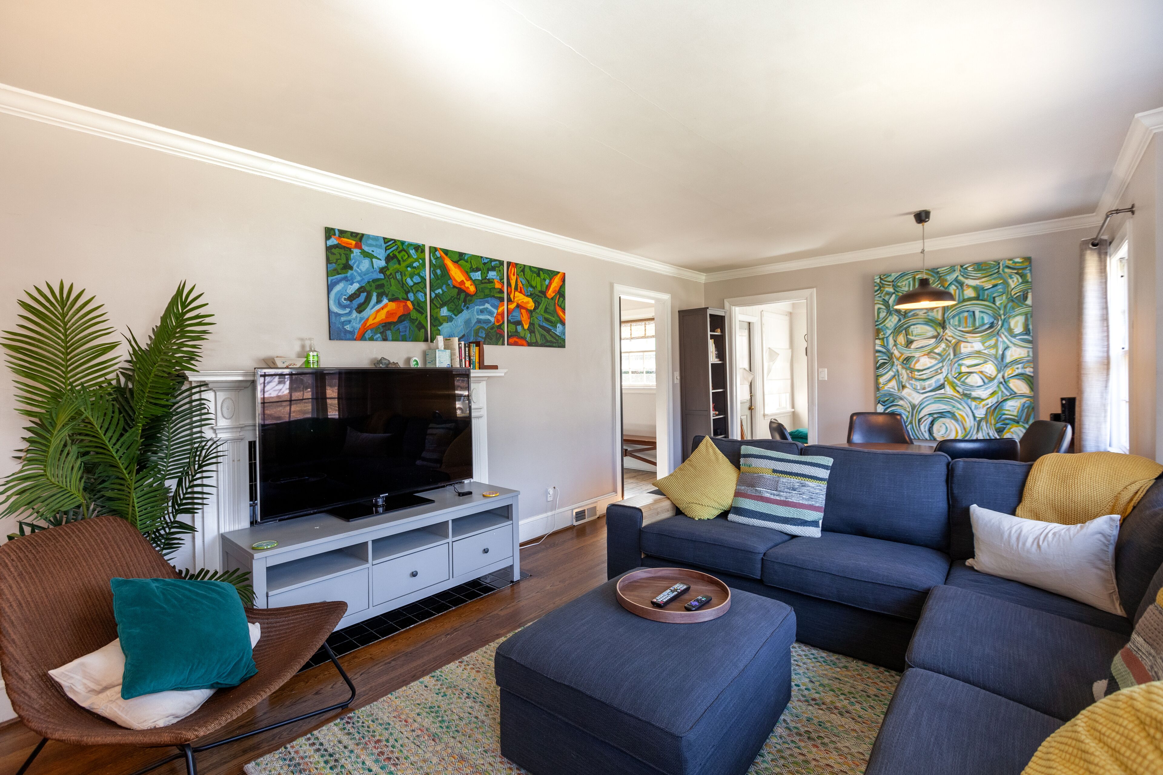 Smart TV, DVD player, books