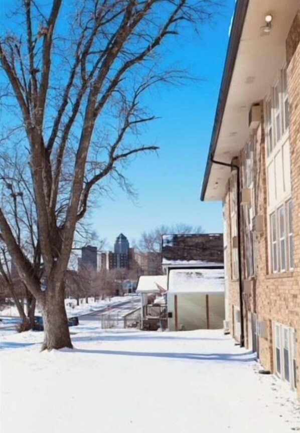 Stroll through the serene streets surrounded by a majestic tree and a historic building.