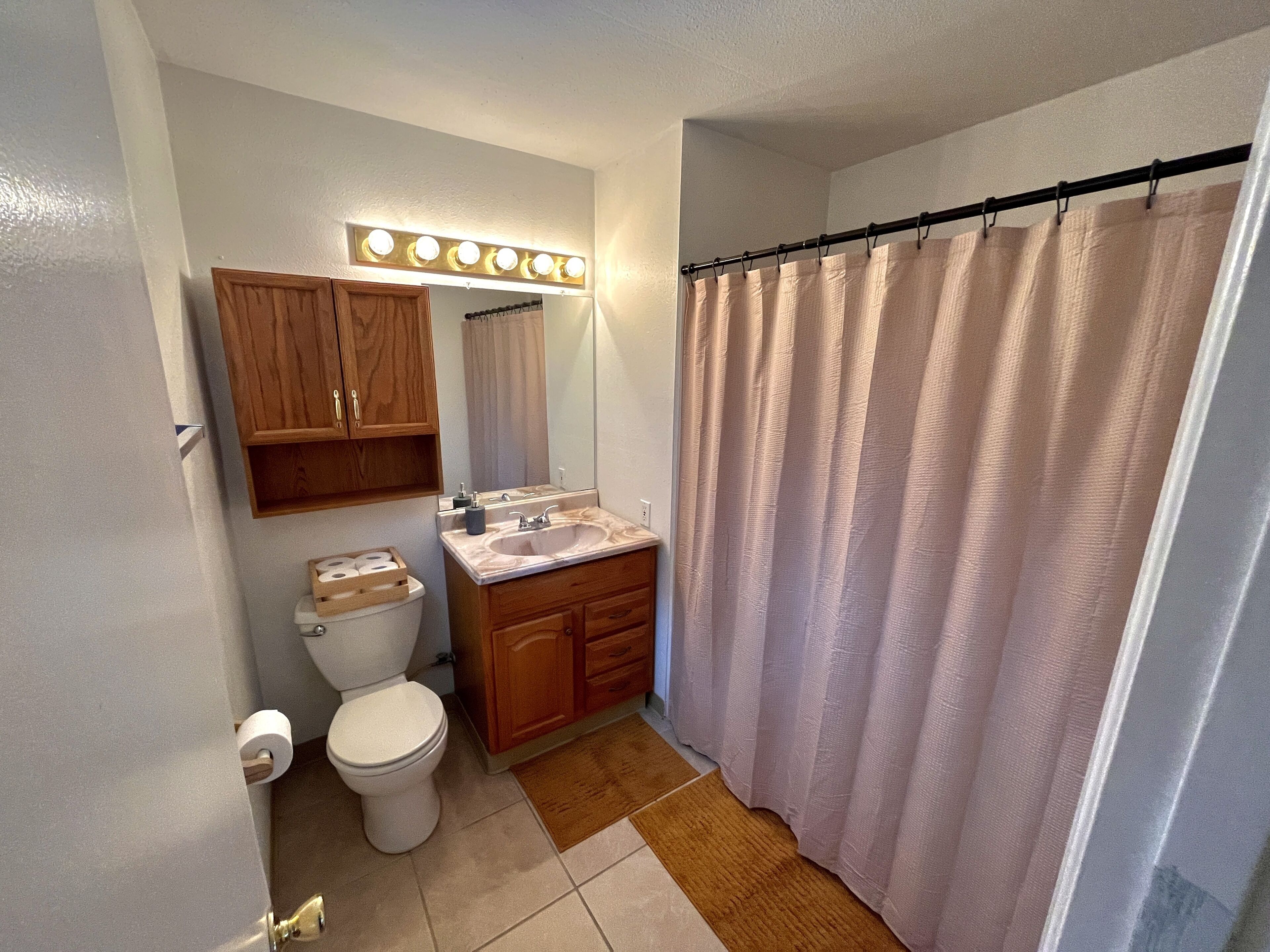Hair dryer, towels, soap, shampoo
