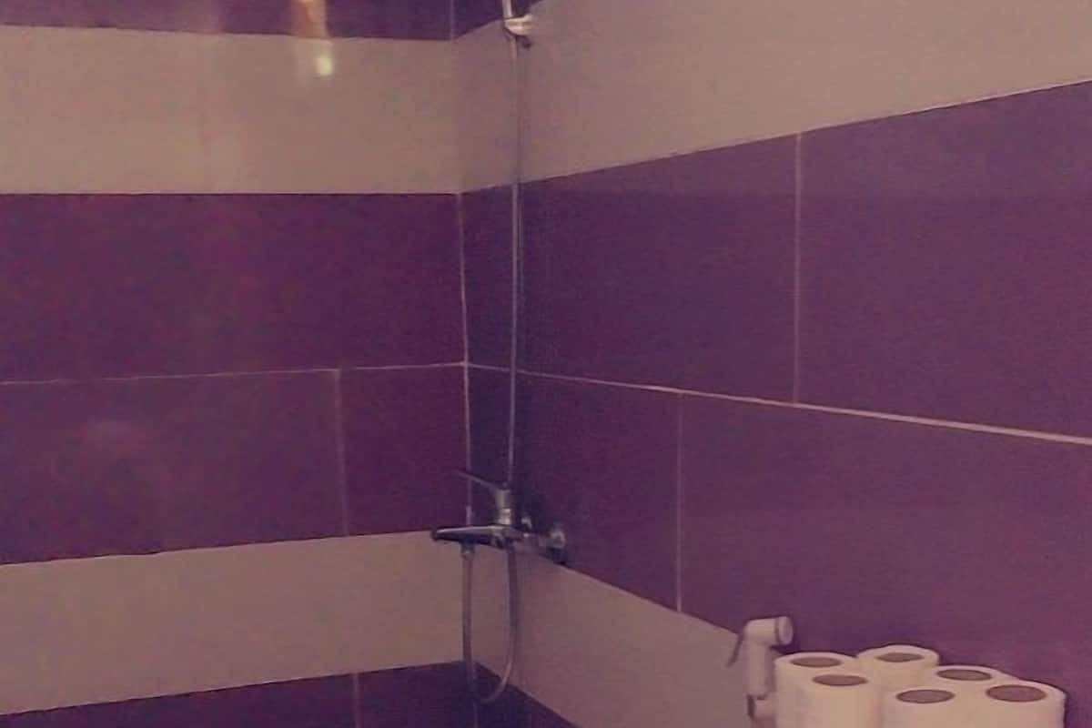 Un baño con inodoro, ducha y un dispensador de papel higiénico en la pared.