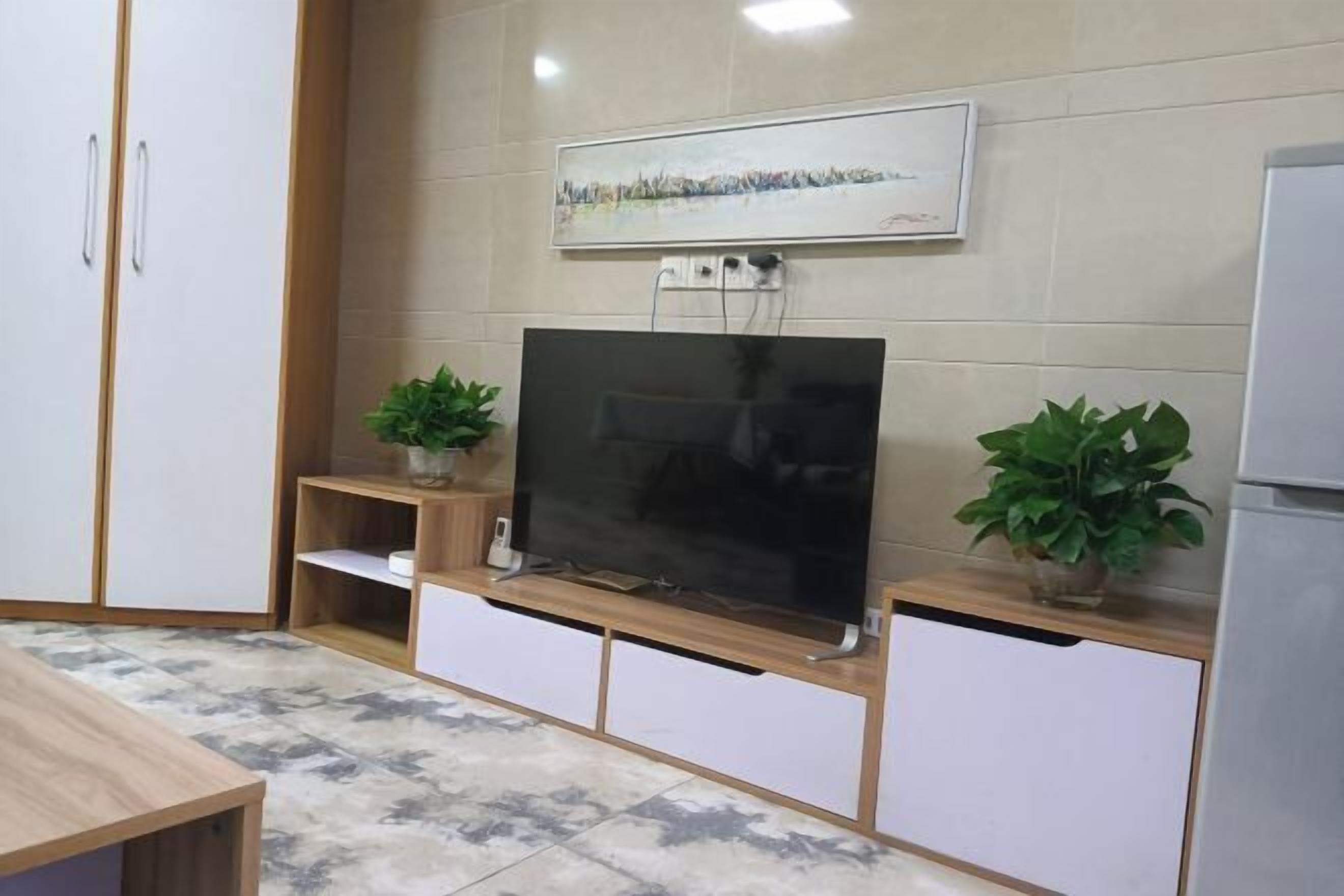 Habitació amb televisió de pantalla plana penjada a la paret, armaris de fusta a la part inferior i dues plantes en testos damunt dels armaris.