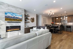 TV, fireplace, video games, books