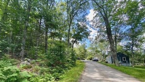 Eine ländliche Straße, gesäumt von dichter Vegetation und einigen Häusern.