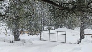 Un espacio al aire libre cubierto de nieve, con una cerca de metal y árboles.