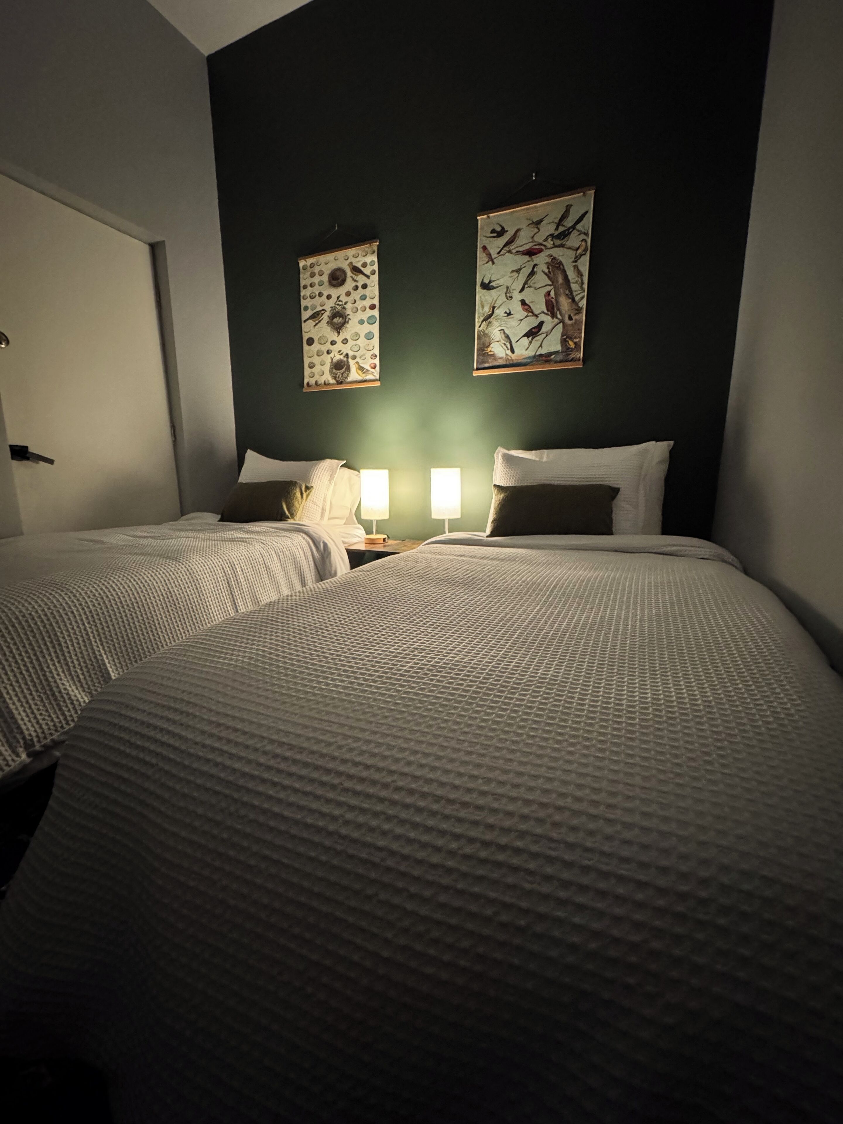A hotel room with two beds, each with a white textured bedspread and matching pillows. There are two wall-mounted lamps on either side of the beds. The walls are painted dark green, and there are two framed artworks above the beds.