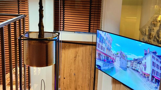 Una habitación con piso de madera, una planta colgante, una lámpara de metal, un televisor mostrando un paisaje urbano y una ventana con persianas.