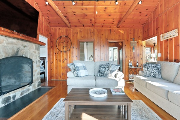 Smart TV, caminetto, biblioteca musicale, videoteca