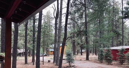 Knotty Bear Cabin in Greer