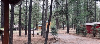 Knotty Bear Cabin in Greer
