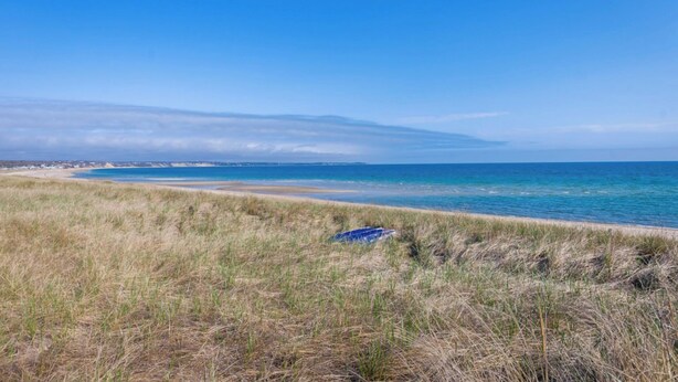 Een kustlandschap met een strand, begroeide duinen en een helderblauwe lucht.