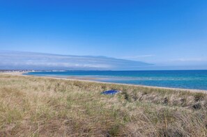 Et kystlandskab med en strand, græsklitter og en klar blå himmel.