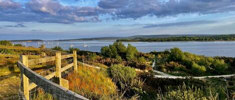Cabin, 2 Queen Beds | View from property