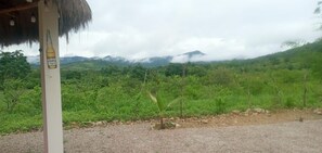 Property grounds - Conecta con la naturaleza en Cerro Beach (Dos mangas)