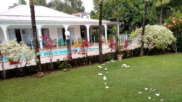 Un edificio blanco con porche cubierto, rodeado de vegetación exuberante y un césped con pétalos blancos dispersos.