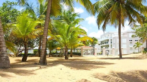 Una zona de playa arenosa con palmeras y un edificio al fondo.