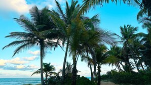 Una playa con palmeras y vista al océano.