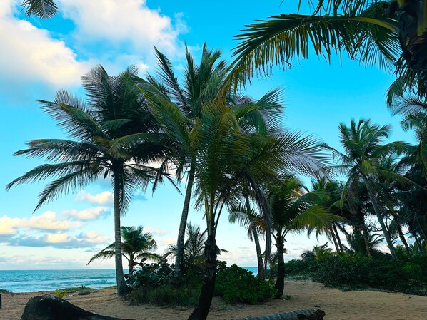 Na praia, espreguiçadeiras, toalhas de praia