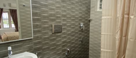 Shower, hair dryer, bidet, towels