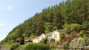 Ein Wohngebiet mit Häusern an einem Hang, umgeben von dichtem Wald.