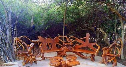 Magical Tented Lodge in Yala- Thissamaharamaya