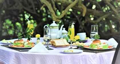 Magical Tented Lodge in Yala- Thissamaharamaya