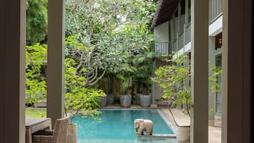 Piscine extérieure