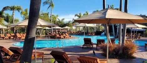 Piscine extérieure, piscine chauffée