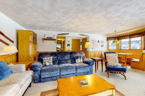 TV, fireplace, video games, DVD player