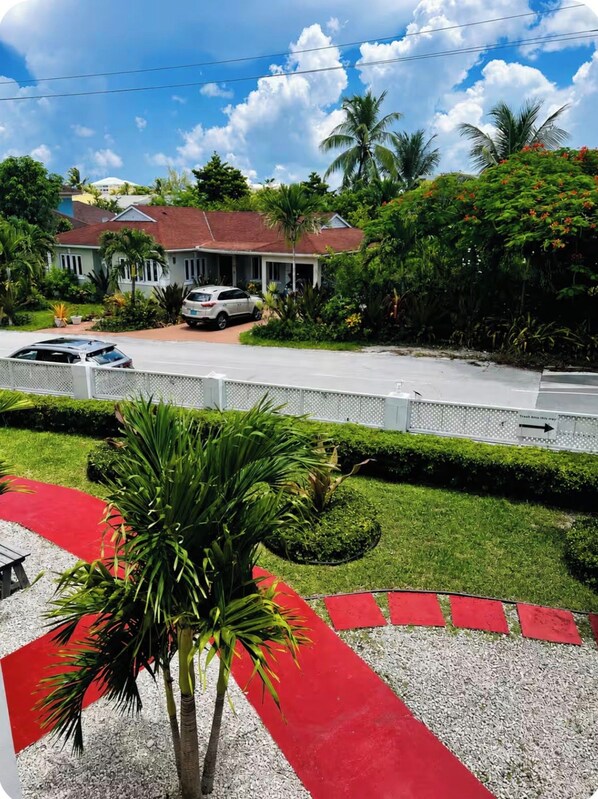 A residential area with a house, parked cars, a red carpet pathway, and a palm tree.