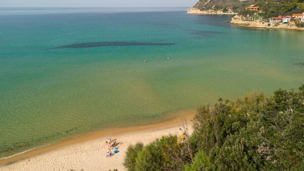 Une plage côtière aux eaux turquoise et limpides, bordée de sable fin, avec des collines en arrière-plan parsemées de bâtiments.