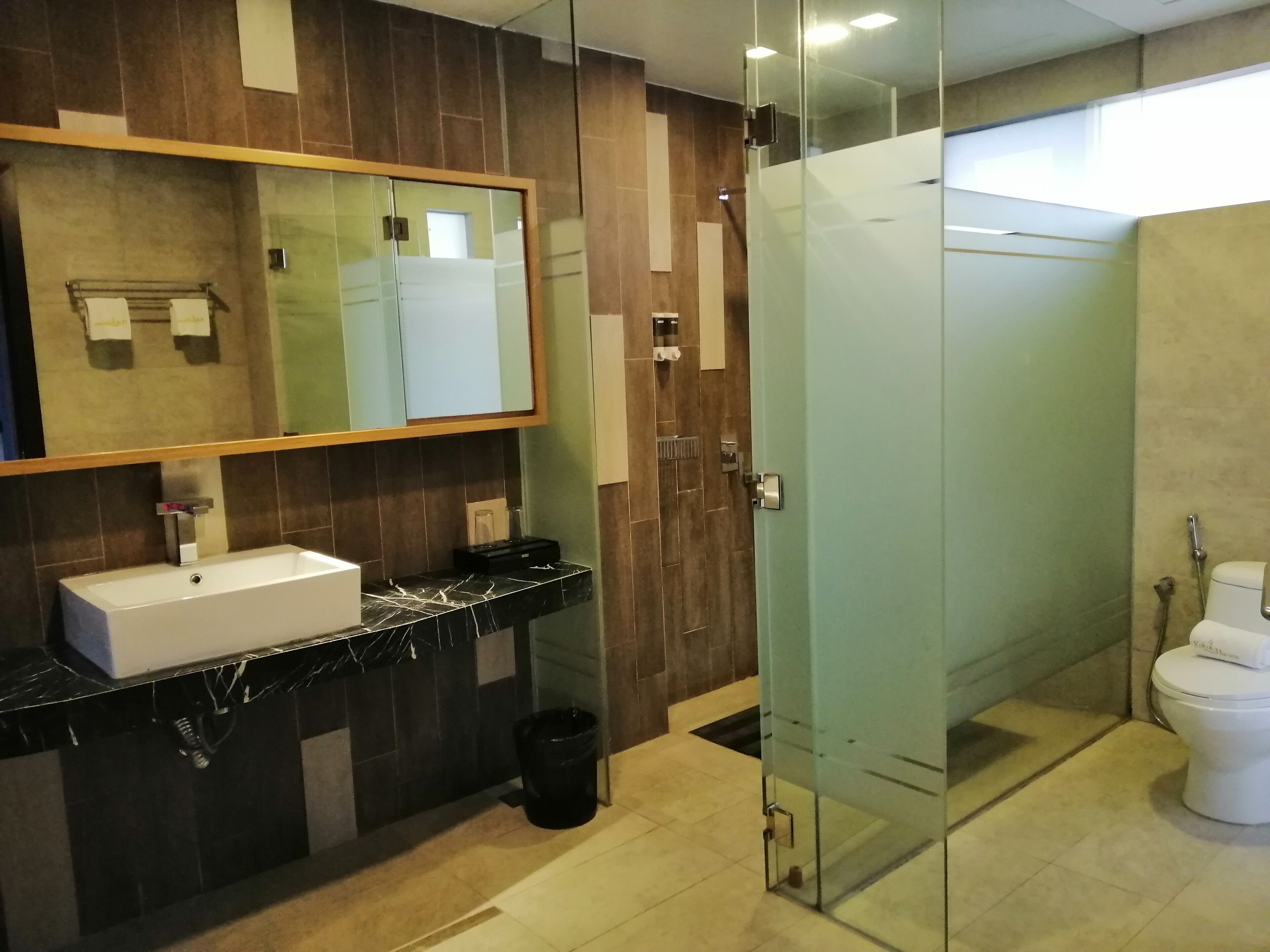 A modern bathroom with a glass-enclosed shower, a white sink, and a large mirror.