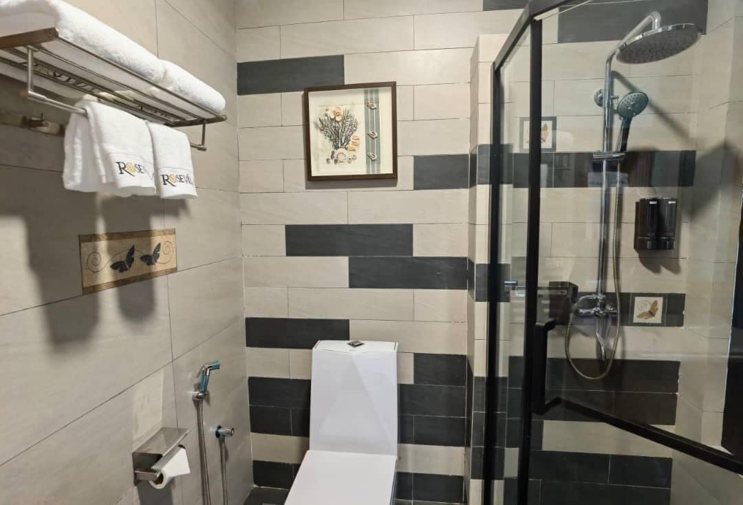 Shower, rainfall showerhead, hair dryer, bidet