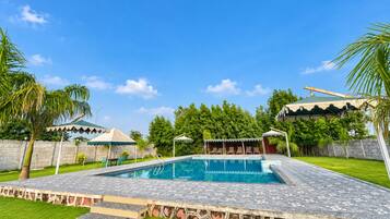 Una piscina con bordo in pietra, circondata da erba e palme.