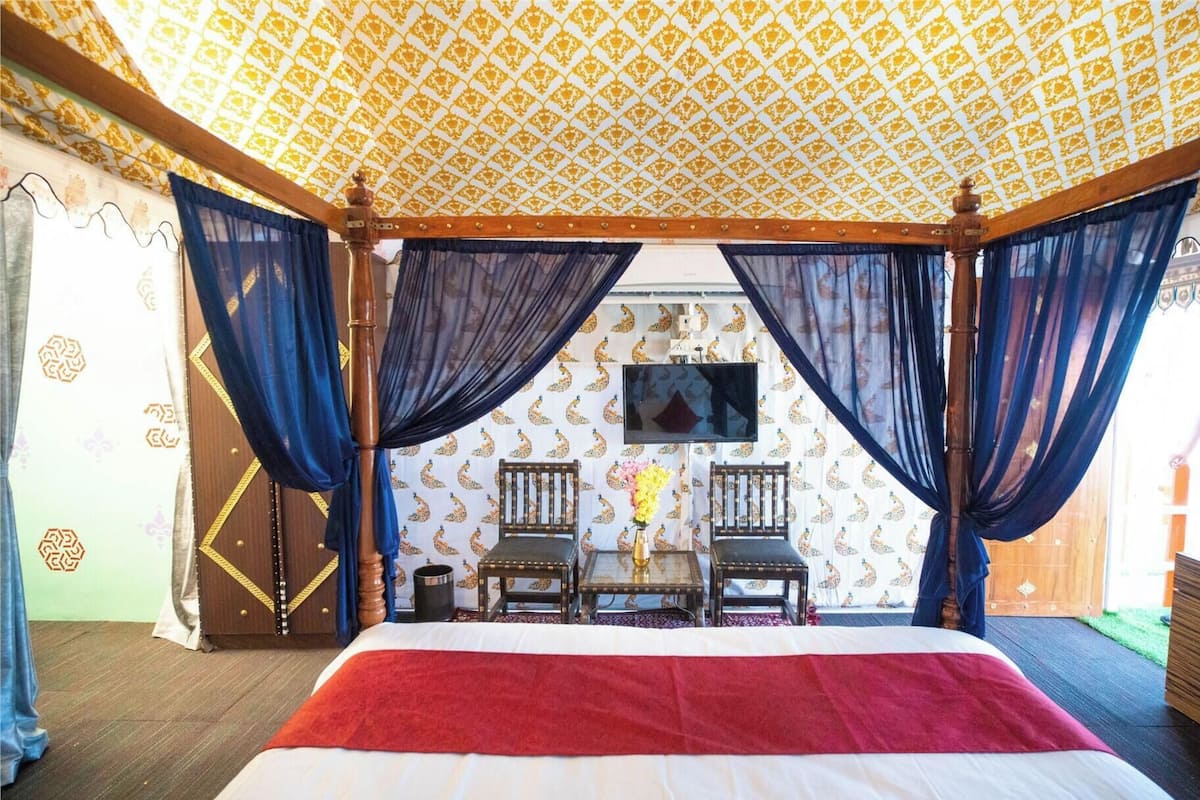 A room with a bed, a television, two chairs, and a table with a vase.
