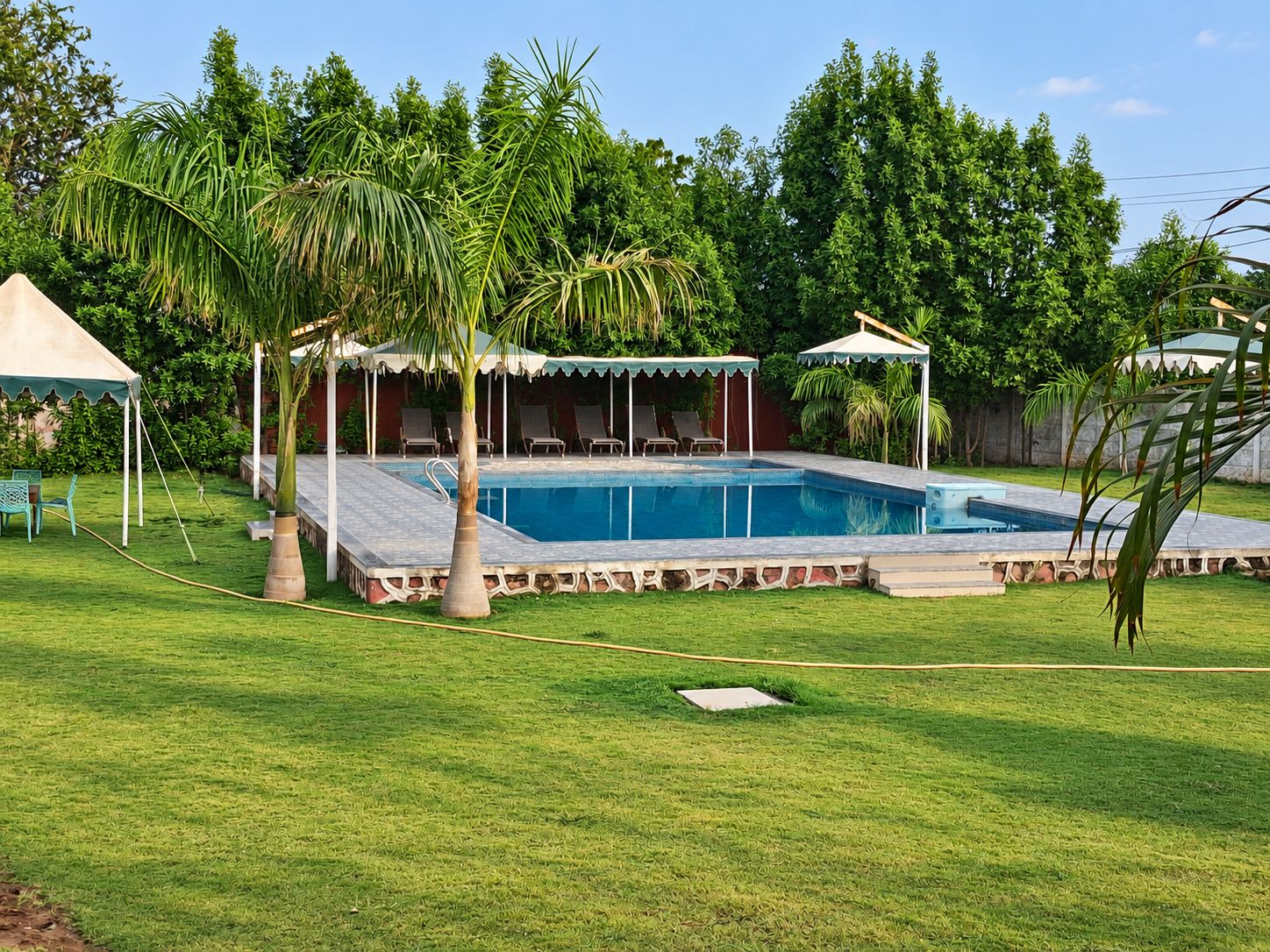 A swimming pool with a tiled deck, surrounded by a grassy lawn and palm trees.