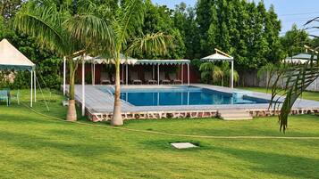 A swimming pool with a tiled deck, surrounded by a grassy lawn and palm trees.