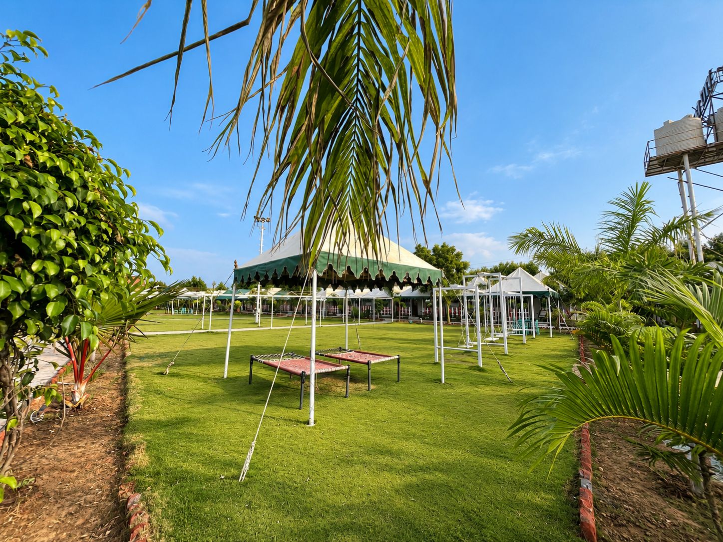 Garden