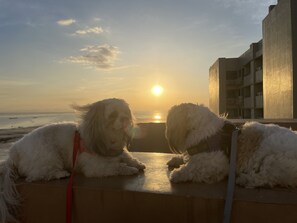 Property grounds - Pet Friendly Staycation at The Radiance Manila Bay (Pasay)
