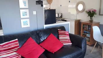 Smart TV, DVD player, books, video library