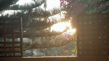 A room with a large window, a wooden floor, and a view of greenery outside.
