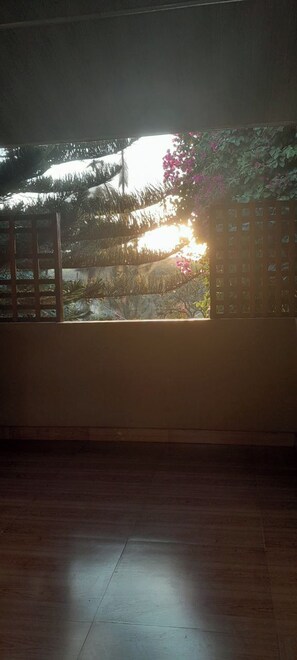 A room with a large window, a wooden floor, and a view of greenery outside.