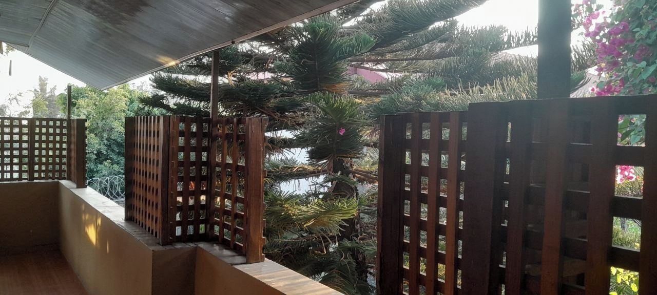 A balcony with wooden railings and a view of a pine tree.