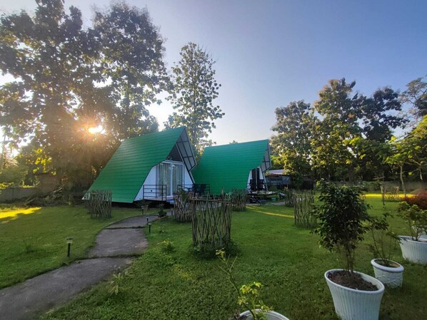 Free WiFi - Wildernest (Bokakhat)