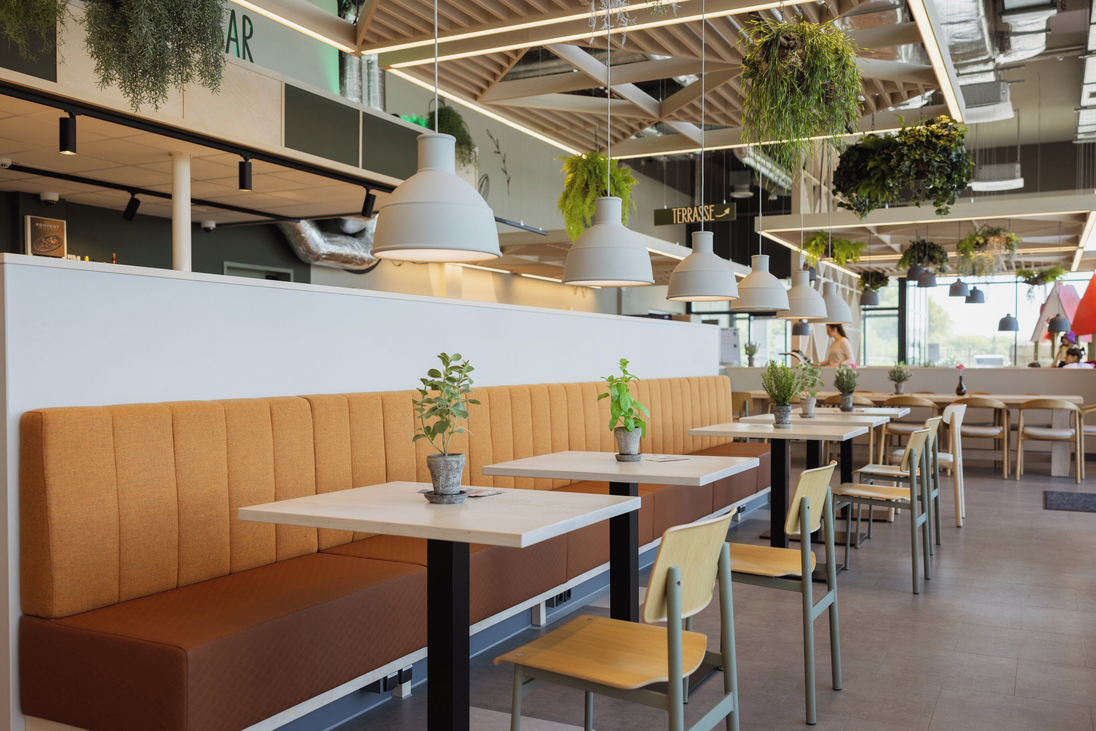 A modern cafe with wooden benches and tables, hanging plants, and pendant lighting.