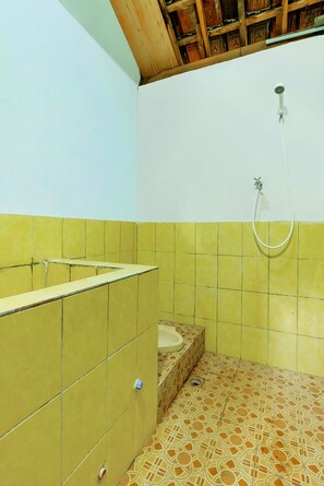 Ducha, cabezal de ducha tipo lluvia, toallas, papel higiénico