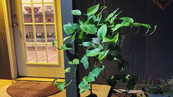 DĂ©tail de lâextĂ©rieur