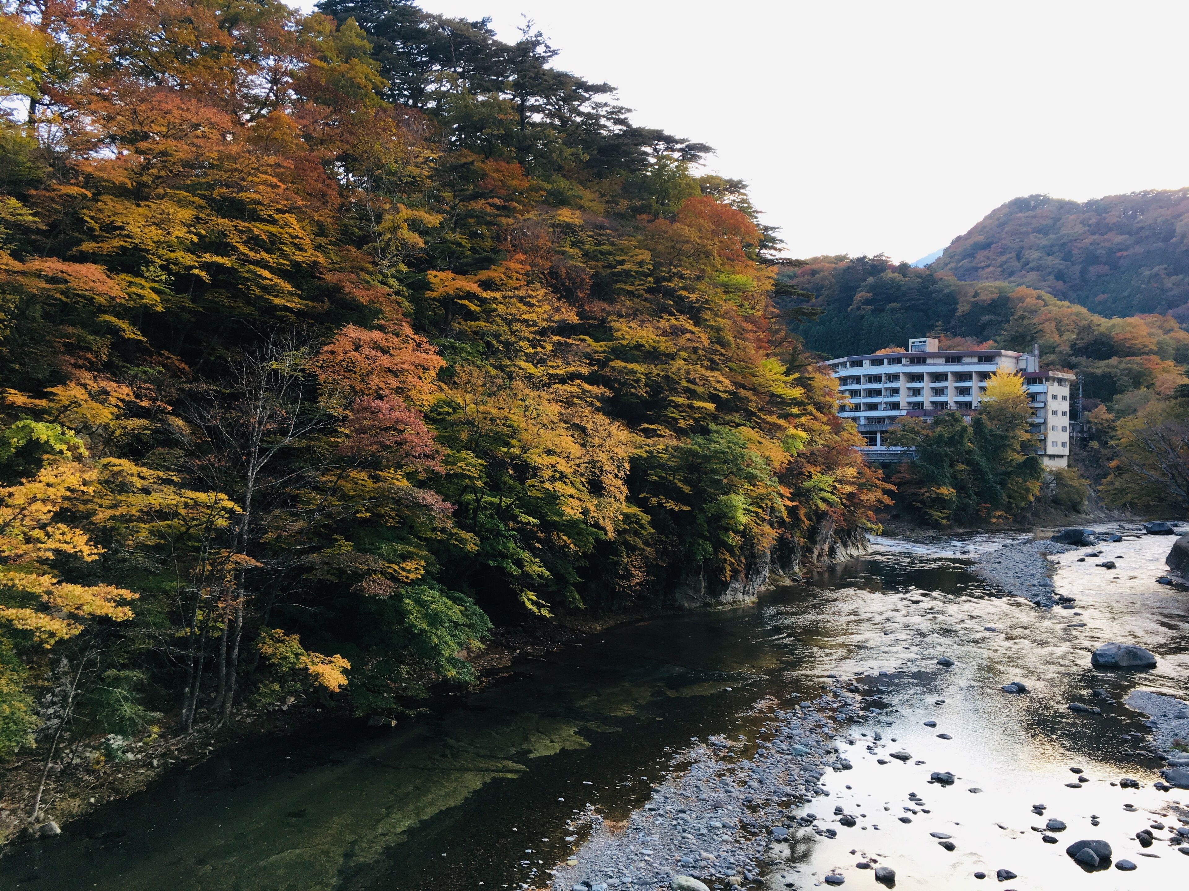 Ein Fluss mit steinernen Ufern und dichtem Herbstlaub.